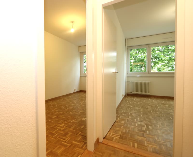 Appartement traversant de 5 pièces avec Loggia à Vernier (7)