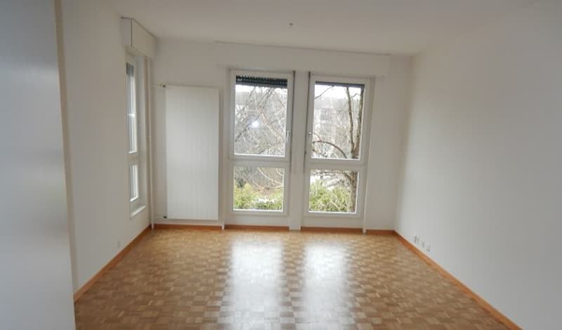 Appartement de 5 pièces à Vernier (2)