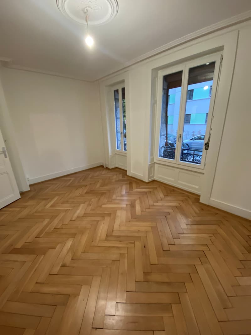 Appartement de 3 pièces avec jardinet à la Servette (2)
