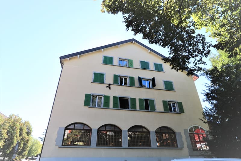 Appartement de 3,5 pièces avec balcon à Chêne-Bourg (1)