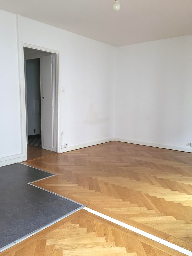 Appartement de 2 pièces proche de la gare Cornavin (4)