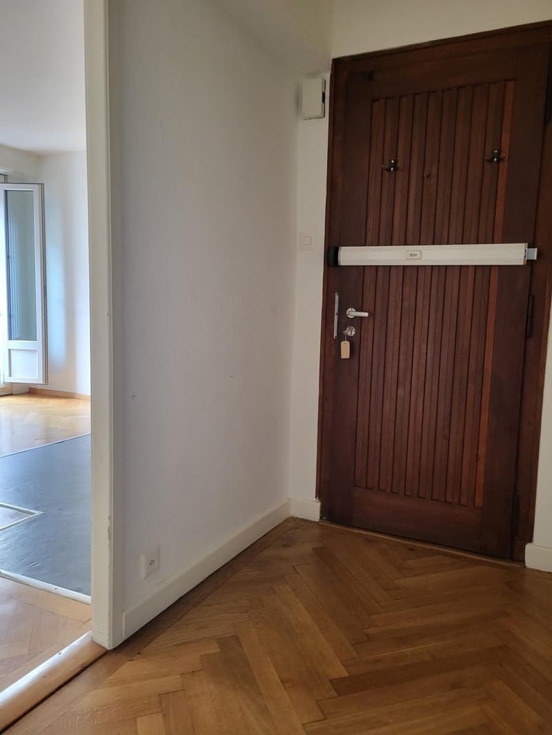 Appartement de 2 pièces proche de la gare Cornavin (7)