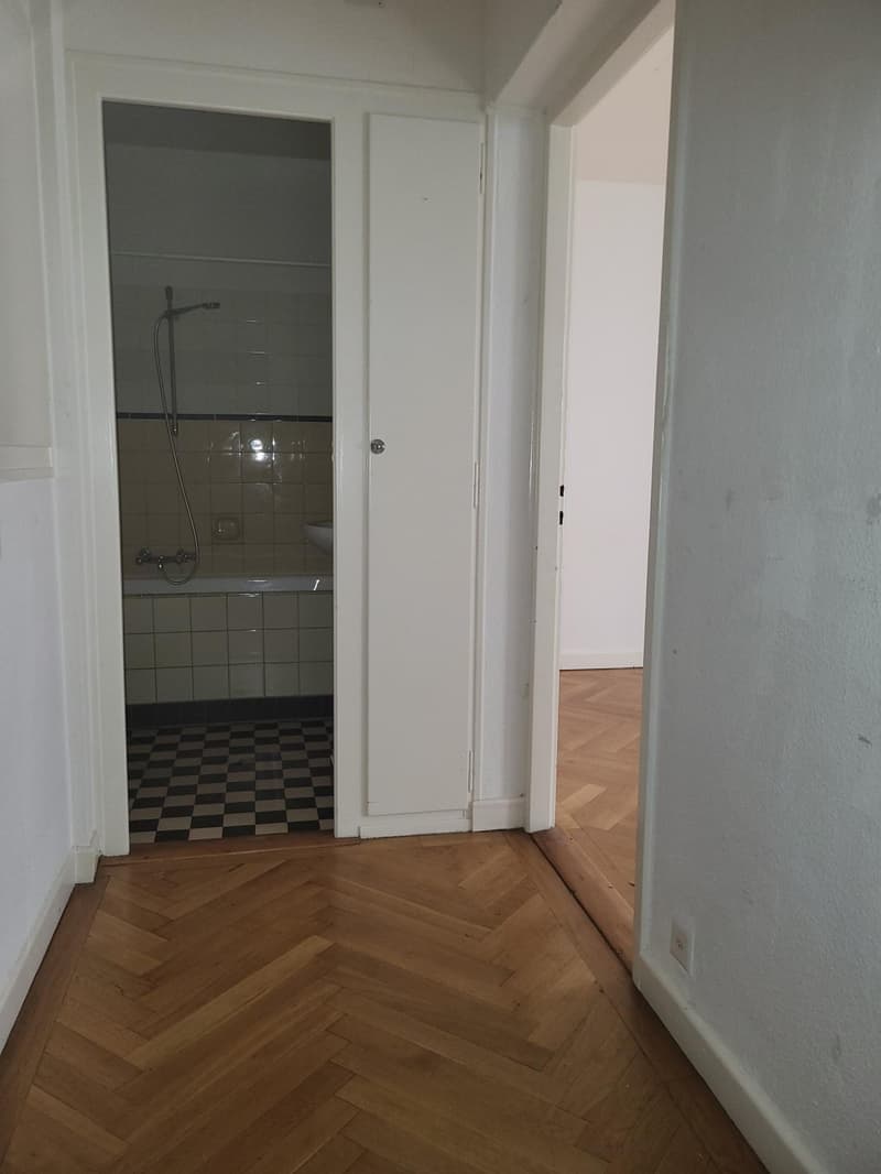 Appartement de 2 pièces proche de la gare Cornavin (5)