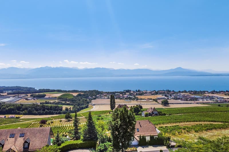 Magnifique villa individuelle meublée avec splendide vue sur le lac à Féchy (5)