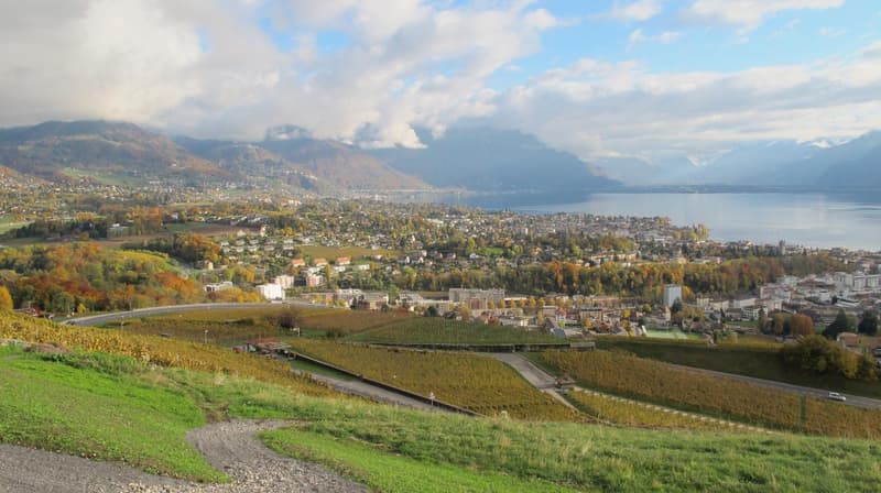 Appartement de 4.5 pièces avec vue plongeante sur le lac et les Alpes (4)