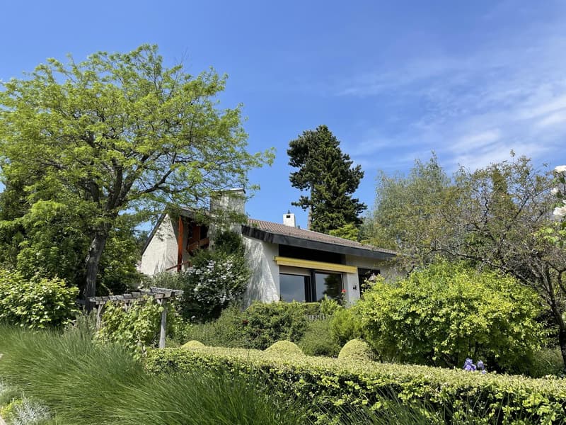 Magnificent individual villa with splendid view of the lake in Féchy (4)