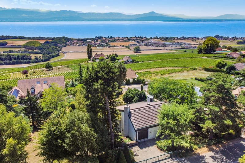 Magnificent individual villa with splendid view of the lake in Féchy (3)