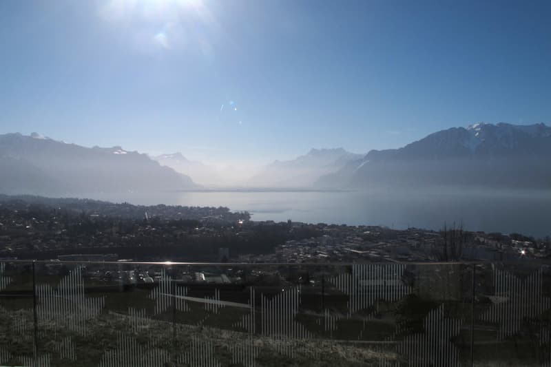 Bellissimo appartamento contemporaneo di 4.5 locali situato in posizione ideale nel Lavaux (4)