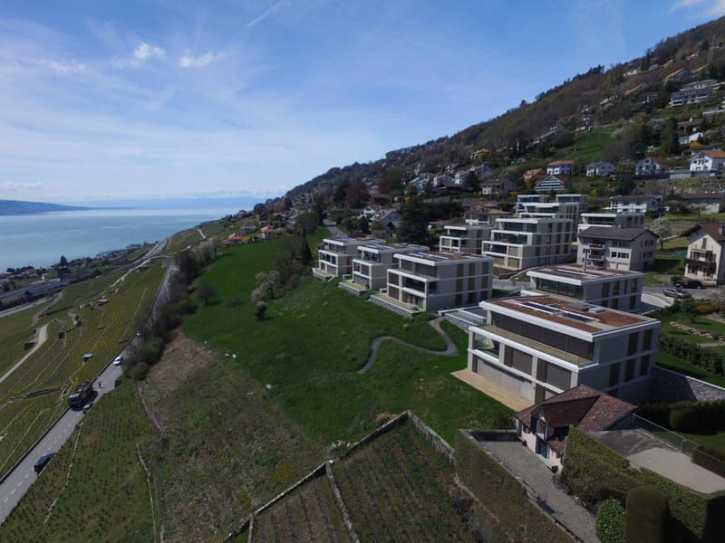 Bellissimo appartamento contemporaneo di 4.5 locali situato in posizione ideale nel Lavaux (1)