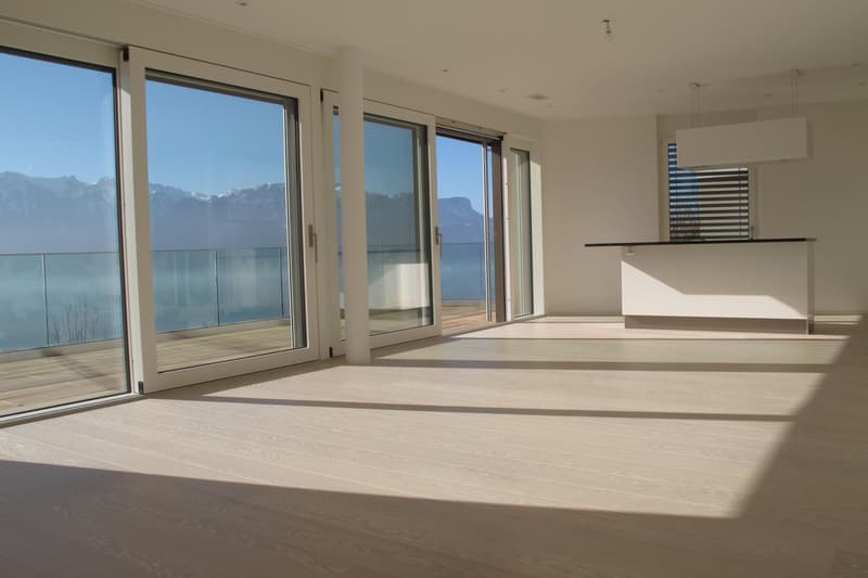 Bellissimo appartamento contemporaneo di 4.5 locali situato in posizione ideale nel Lavaux (5)