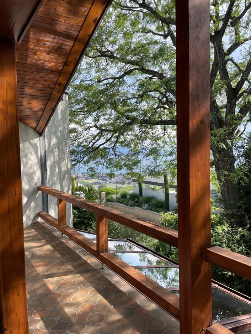 Magnifique villa individuelle non meublée ou meublée (à choix) avec splendide vue sur le lac à Féchy (12)