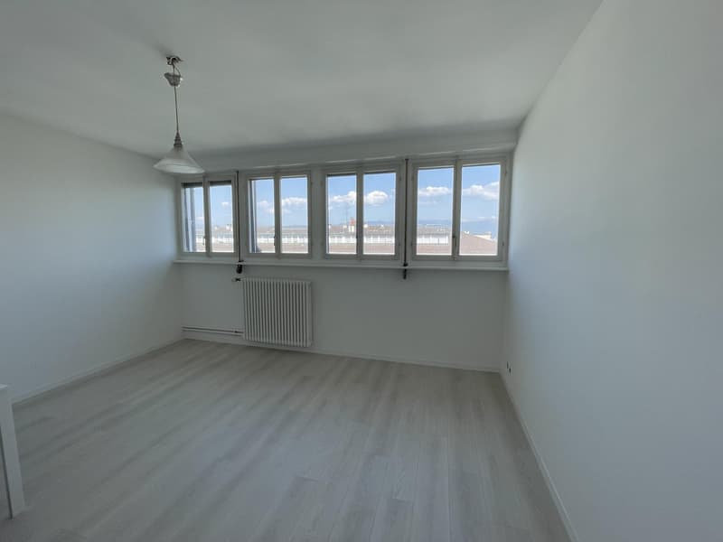 Großes Studio-Apartment im Zentrum von Florissant (6)