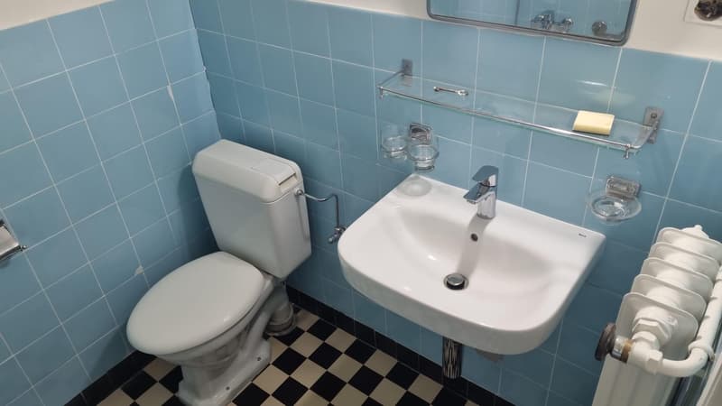 Großes Studio-Apartment im Zentrum von Florissant (7)