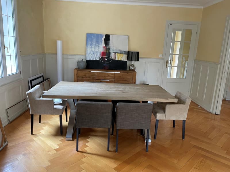 VERY BEAUTIFUL PROPERTY 9 ROOMS IN PETIT SACONNEX WITH LARGE GARDEN AND QUIET (6)