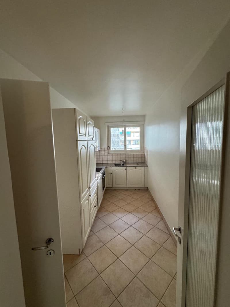 LARGE 4.5 ROOM APARTMENT IN A QUIET LOCATION IN FLORISSANT (5)