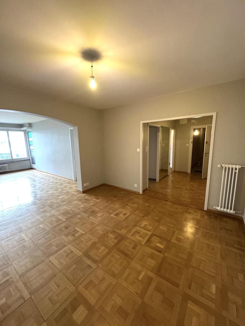 LARGE 4.5 ROOM APARTMENT IN A QUIET LOCATION IN FLORISSANT (4)