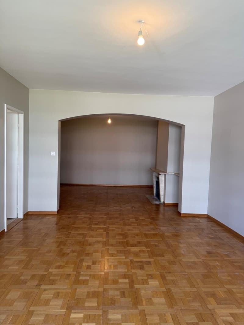 LARGE 4.5 ROOM APARTMENT IN A QUIET LOCATION IN FLORISSANT (6)