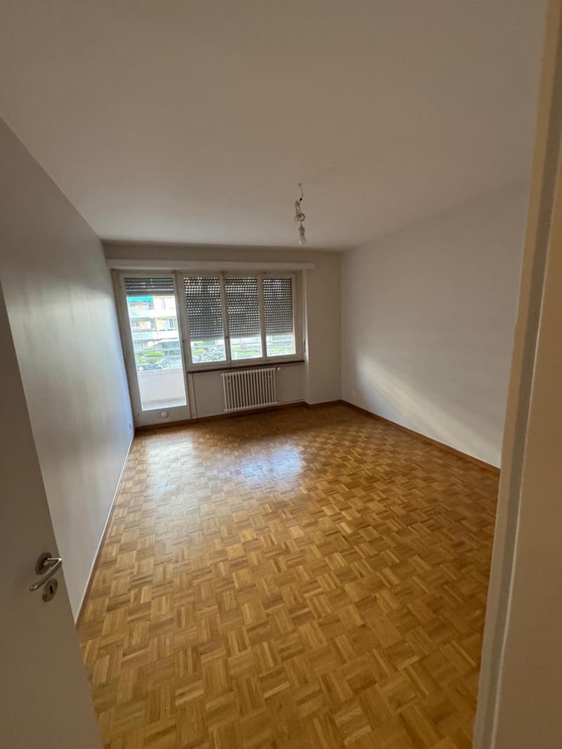LARGE 4.5 ROOM APARTMENT IN A QUIET LOCATION IN FLORISSANT (8)