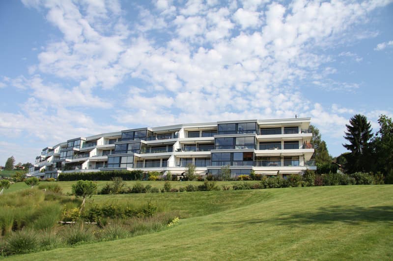 SPLENDIDE APPARTEMENT DE 4 PIECES AVEC VUE PANORAMIQUE A LUTRY (1)