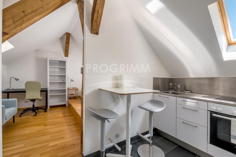 Città vecchia - Superba appartamento di 4 locali con studio - Ultimo piano - Ascensore (8)