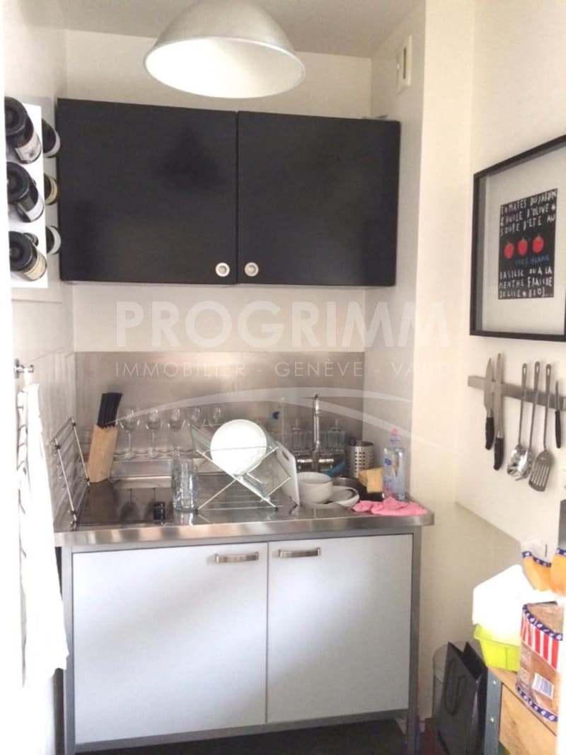 Studio - Champel - Avenue de Miremont - 34m2 + Balkon 6,5m2 (7)