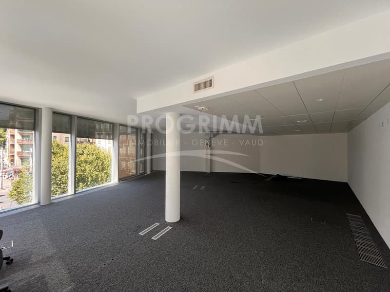 Sektor Jonktion - Superbe Büros von 100m2 - 3. Etage - Hell und klimatisiert - Parkplätze optional. (3)