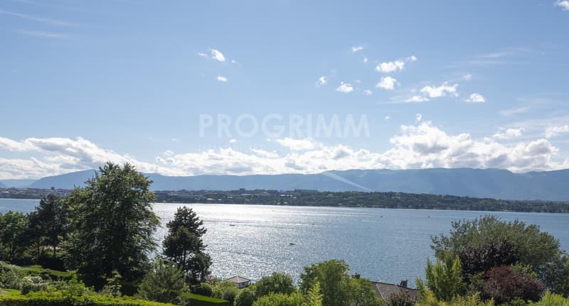Coteau de Cologny - Villa avec vue magnifique (1)