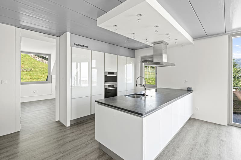 Appartamento di prestigio rinnovato con vista spettacolare sul lago! (2)