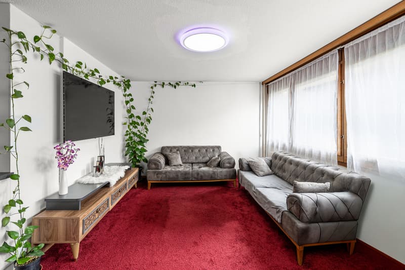Bright apartment with private garden in the center of Aigle (4)