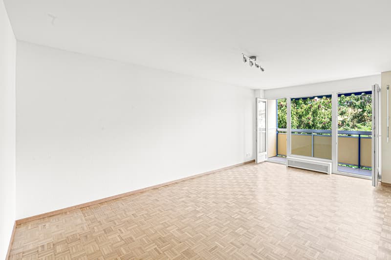 Studio rénové Balcon ensoleillé Vue dégagée (9)