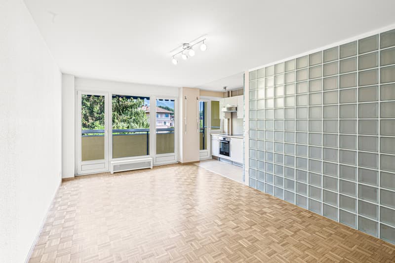 Studio rénové Balcon ensoleillé Vue dégagée (10)