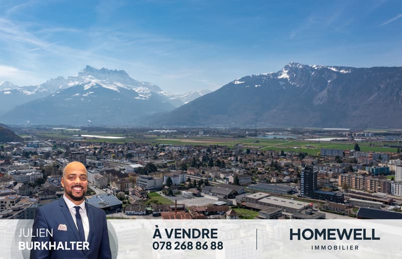 Appartement lumineux avec jardin privatif au centre de Aigle (1)
