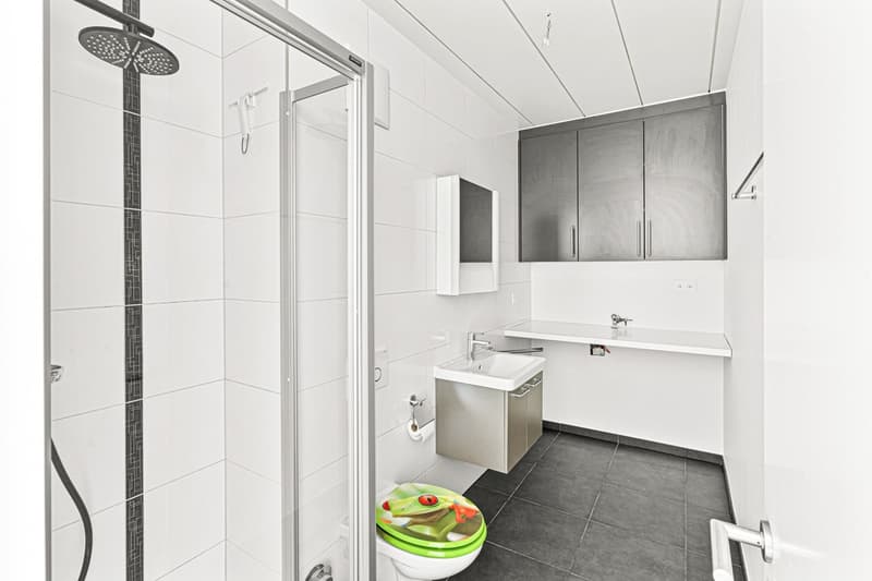 Appartement de prestige rénové avec vue spectaculaire sur le lac ! (11)