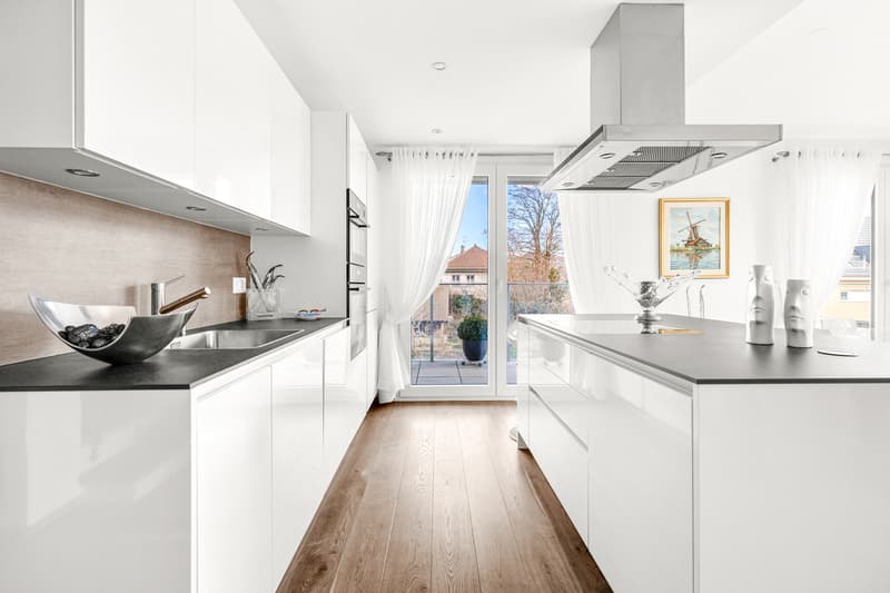 Duplex d'exception avec vue panoramique sur le lac Léman ! (6)