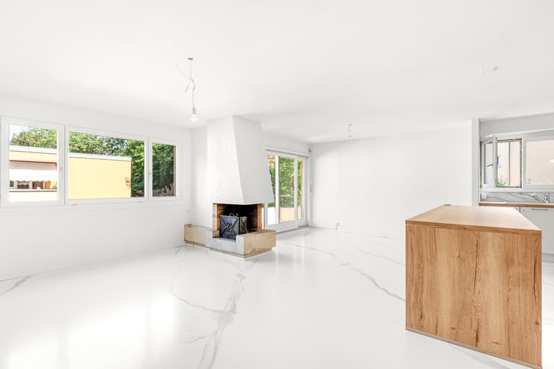 Superbe appartement rénové avec cheminée (2)