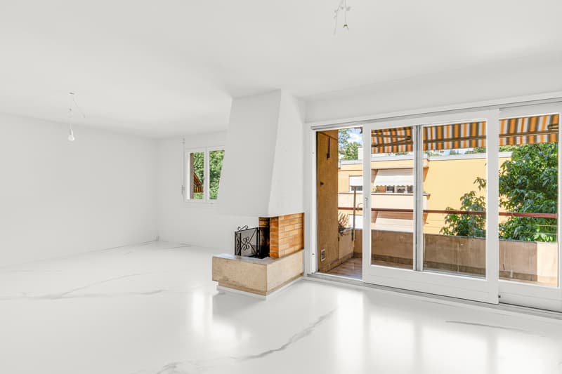Superbe appartement rénové avec cheminée (3)
