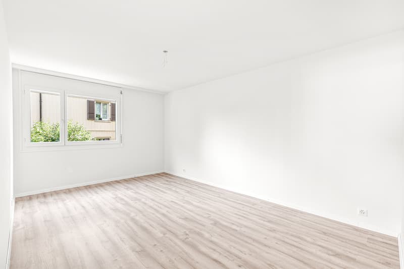 Superbe appartement rénové avec cheminée (8)