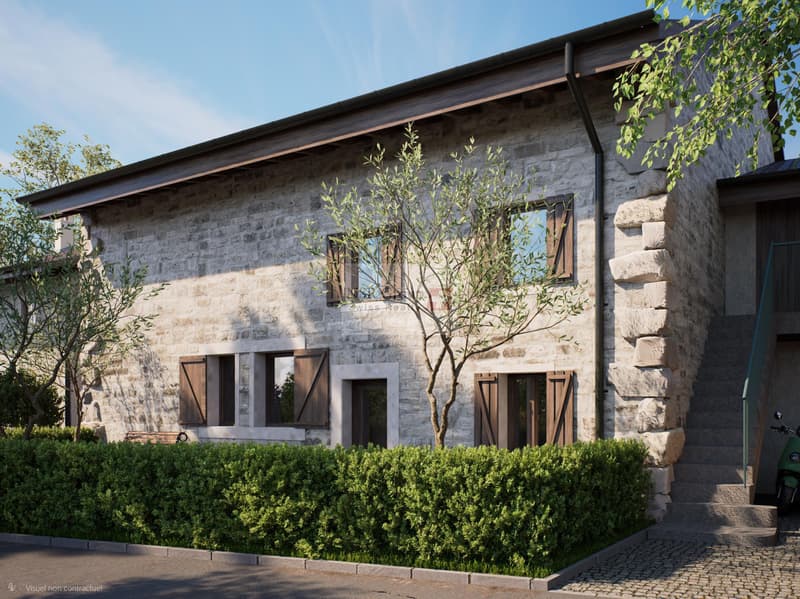 Hameau du Petit-Veyrier - Casa di villaggio ristrutturata (4)