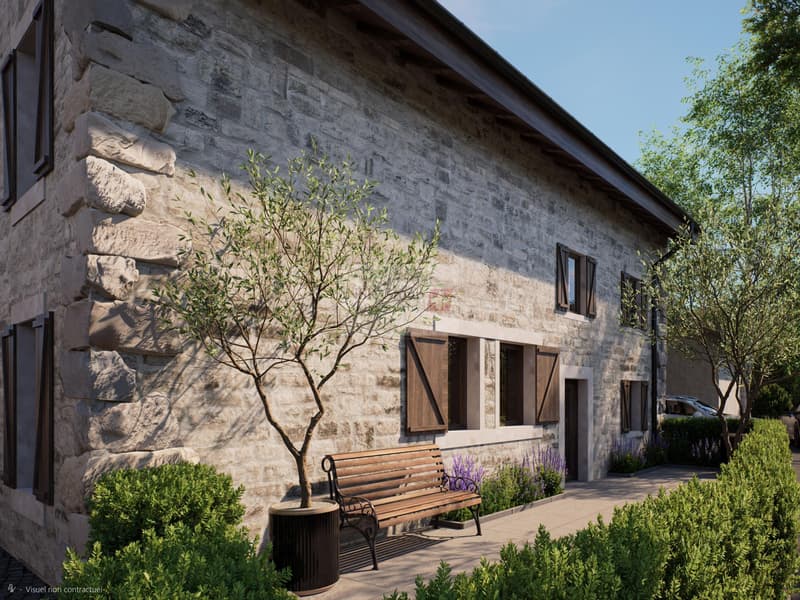 Hameau du Petit-Veyrier - Casa di villaggio ristrutturata (2)