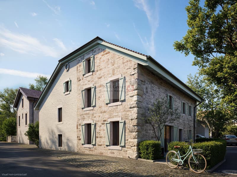 Hameau du Petit-Veyrier - Maison de village rénovée (5)