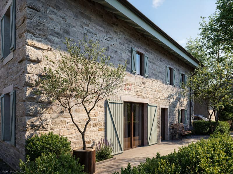 Hameau du Petit-Veyrier - Maison de village rénovée (3)