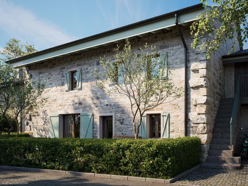 Hameau du Petit-Veyrier - Maison de village rénovée (1)