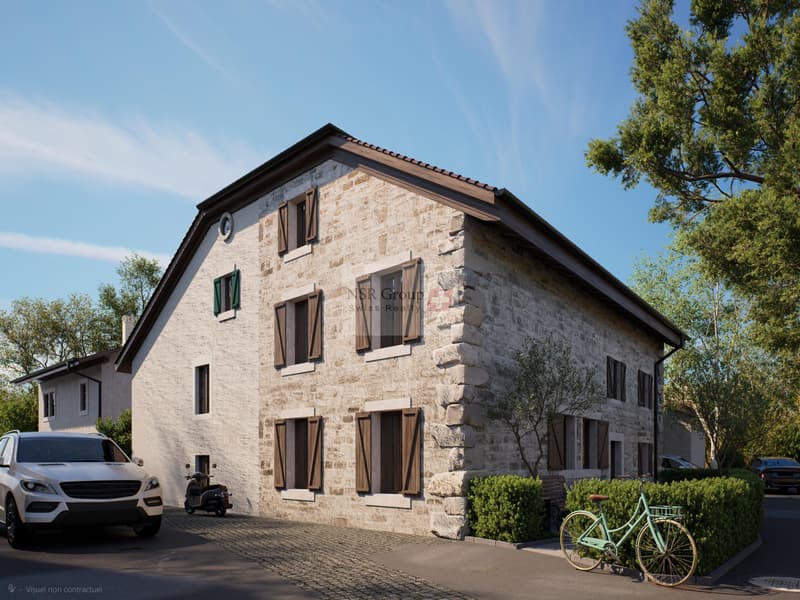 Hameau du Petit-Veyrier - Casa di villaggio ristrutturata (6)