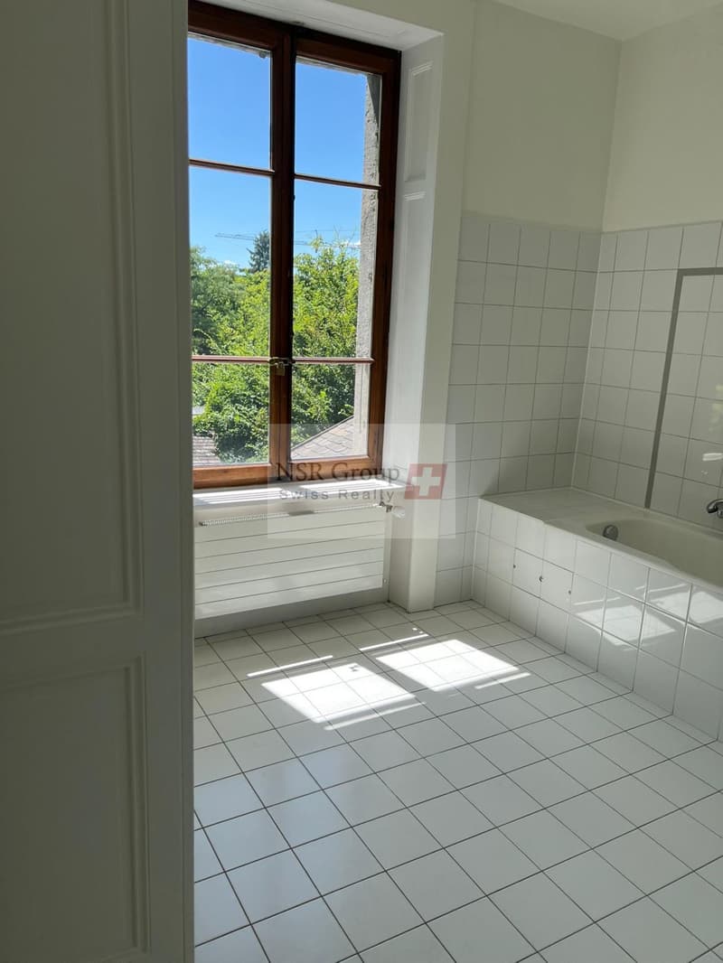 Casa arredata di eccezione in affitto a Carouge ? 297 m² con giardino e dépendance (11)