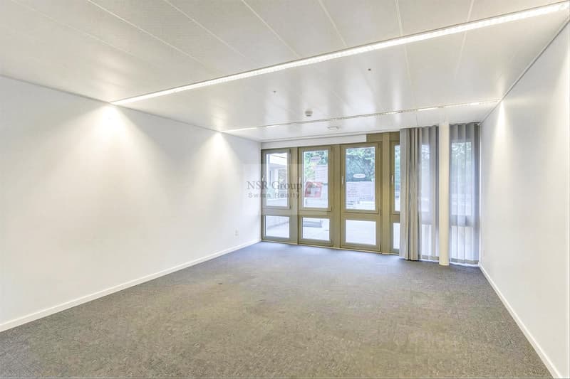 Arcade commerciale de 538 m² + 100 m² de dépôt - Janvier 2027 (4)