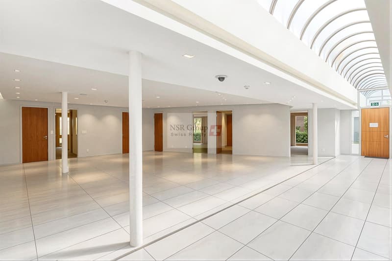 Arcata commerciale di 538 m² + 100 m² di deposito - Gennaio 2027 (2)