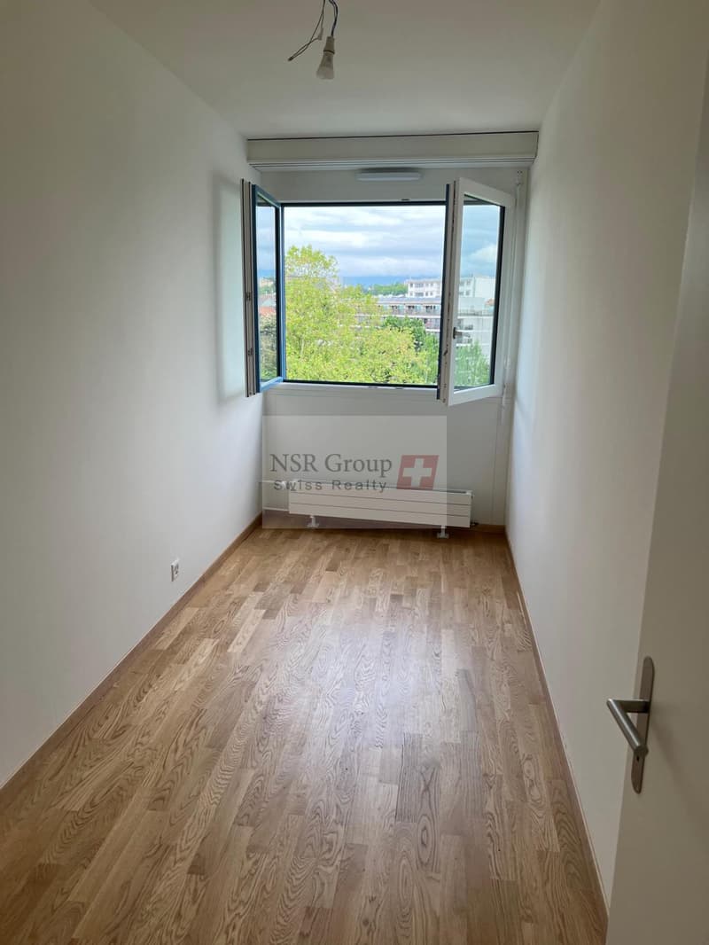 Elegante appartamento di 5 locali ristrutturato nel quartiere ambito di Carouge (9)