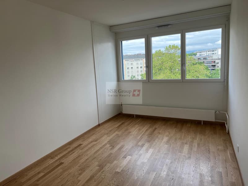 Elegante appartamento di 5 locali ristrutturato nel quartiere ambito di Carouge (7)