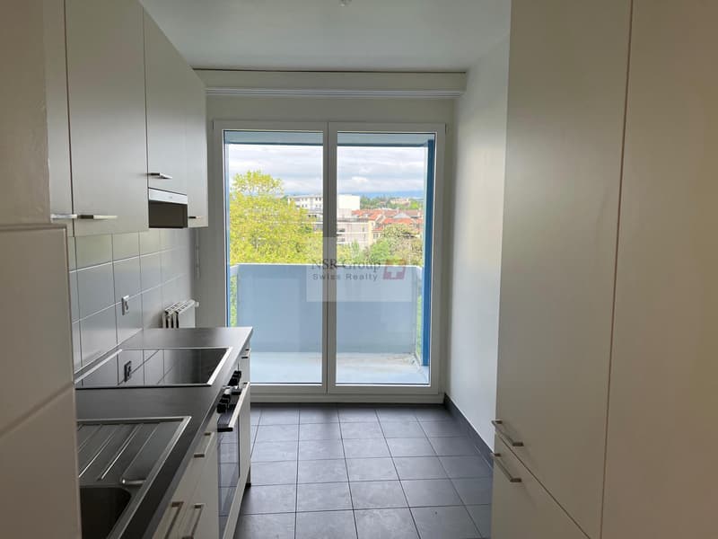 Elegante appartamento di 5 locali ristrutturato nel quartiere ambito di Carouge (12)