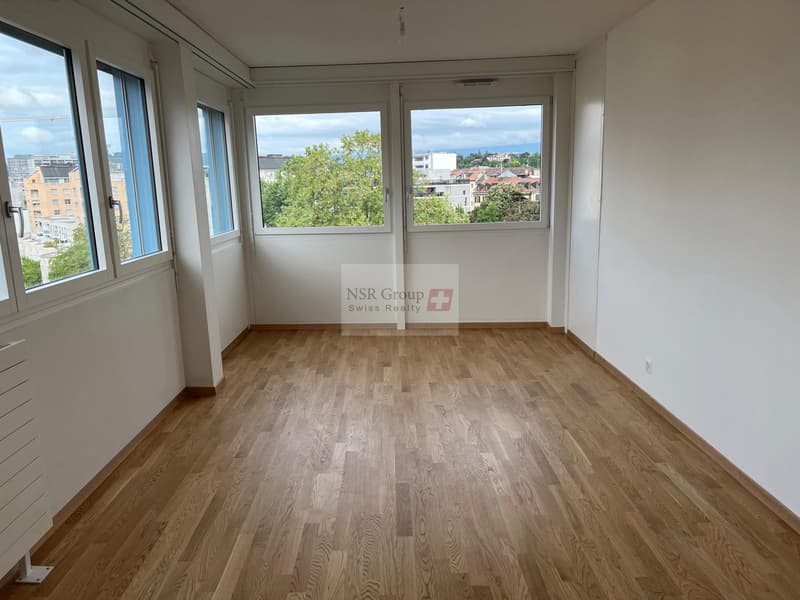 Elegante appartamento di 5 locali ristrutturato nel quartiere ambito di Carouge (6)